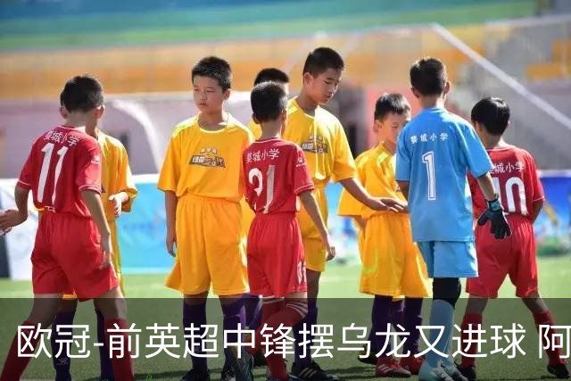 欧冠-前英超中锋摆乌龙又进球 阿贾克斯2-2本菲卡
